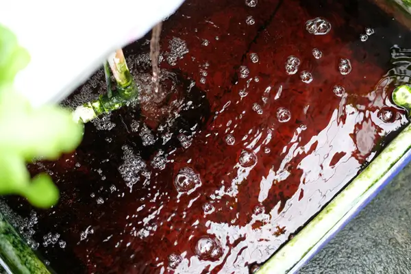 qualidade-da-agua-na-hidroponia