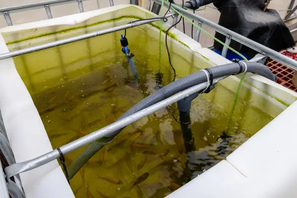 fluxo-de-agua-em-hidroponia
