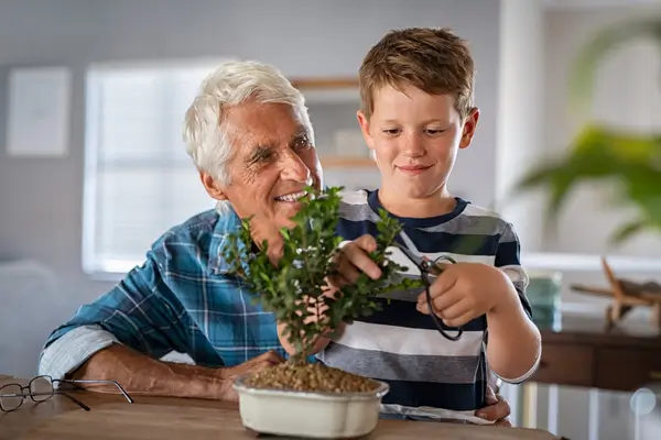 como-podar-bonsai