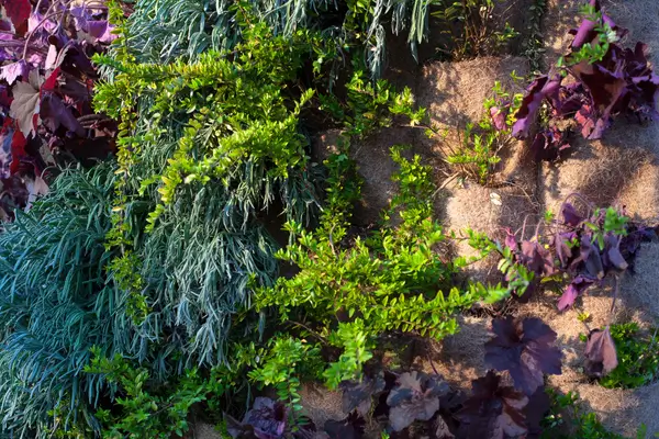 jardim-vertical