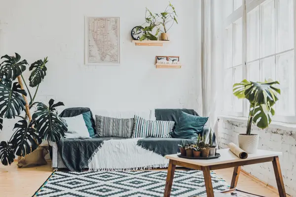 plantas-para-dentro-de-casa